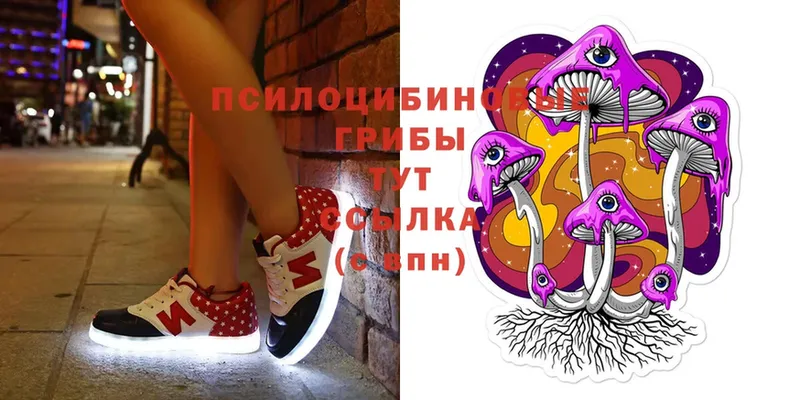 Псилоцибиновые грибы Magic Shrooms  Ахтубинск 